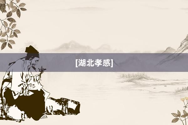 [湖北孝感]