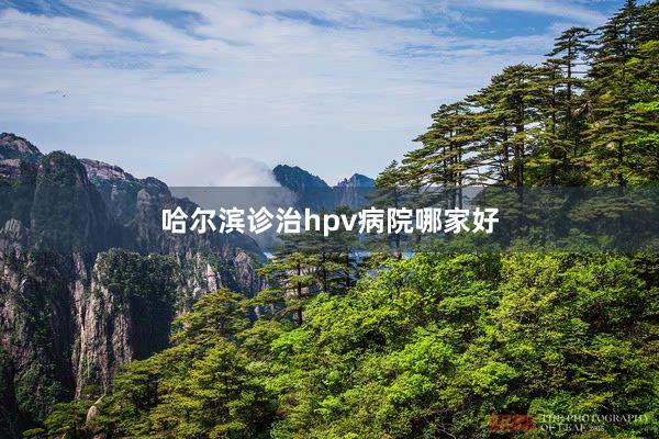 哈尔滨诊治hpv病院哪家好