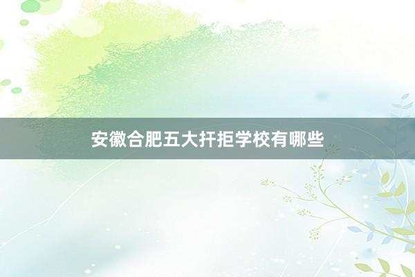 安徽合肥五大扞拒学校有哪些