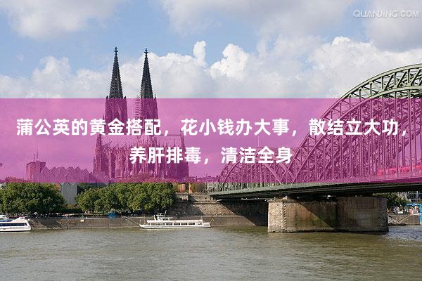 蒲公英的黄金搭配，花小钱办大事，散结立大功，养肝排毒，清洁全身