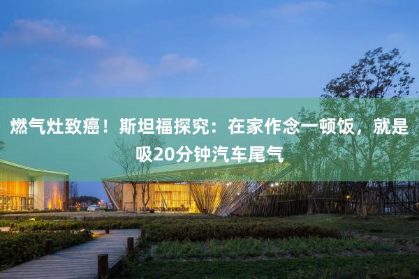 燃气灶致癌！斯坦福探究：在家作念一顿饭，就是吸20分钟汽车尾气