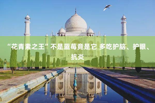 “花青素之王”不是蓝莓竟是它 多吃护脑、护眼、抗炎