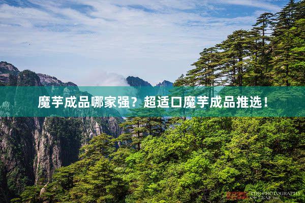 魔芋成品哪家强？超适口魔芋成品推选！