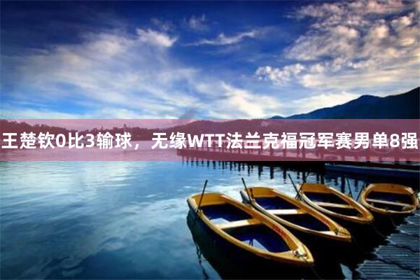 王楚钦0比3输球，无缘WTT法兰克福冠军赛男单8强