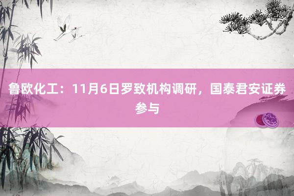 鲁欧化工：11月6日罗致机构调研，国泰君安证券参与
