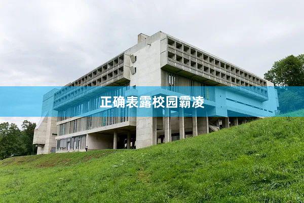 正确表露校园霸凌