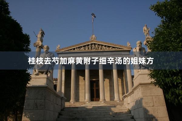 桂枝去芍加麻黄附子细辛汤的姐妹方