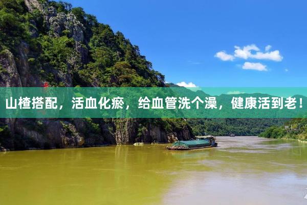 山楂搭配，活血化瘀，给血管洗个澡，健康活到老！