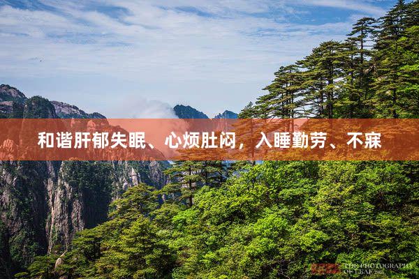 和谐肝郁失眠、心烦肚闷，入睡勤劳、不寐