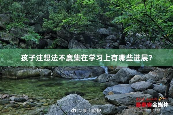 孩子注想法不麇集在学习上有哪些进展？