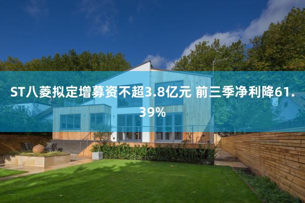 ST八菱拟定增募资不超3.8亿元 前三季净利降61.39%