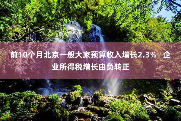 前10个月北京一般大家预算收入增长2.3%   企业所得税增长由负转正