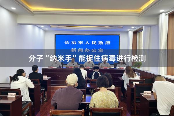 分子“纳米手”能捉住病毒进行检测