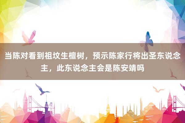 当陈对看到祖坟生檀树，预示陈家行将出圣东说念主，此东说念主会是陈安靖吗