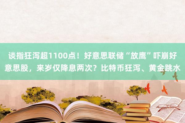 谈指狂泻超1100点！好意思联储“放鹰”吓崩好意思股，来岁仅降息两次？比特币狂泻、黄金跳水
